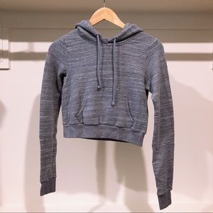 Abercrombie & Fitch Cropped Hoodie